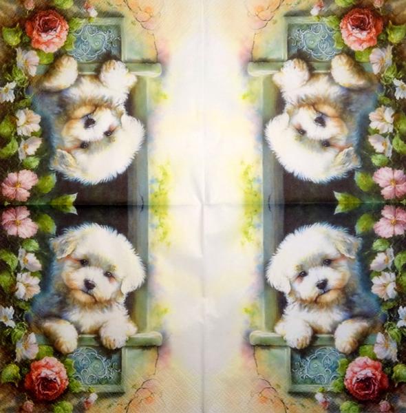 916 Dogs - 3-ply - Specials
